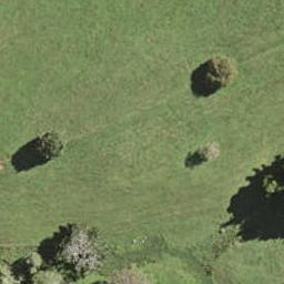 26 Nanjing Road, Pukekohe, Pukekohe