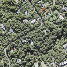 19 Turanga Road, Henderson Valley, Auckland