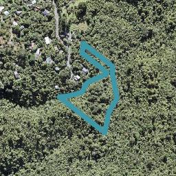 43 Rimu Road, Oratia, Auckland