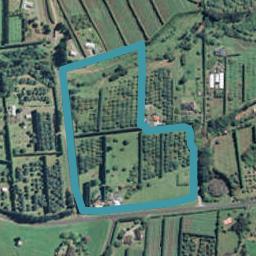 9 Thornton Road, Tahawai, Katikati