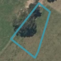 18 Magnolia Place, Levin, Levin