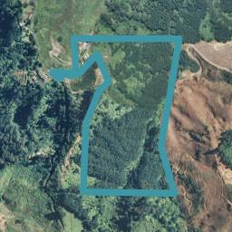 315 Rocky Cutting Road, Waitao, Tauranga