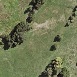 19 Collar Lane, Ōpaheke, Papakura