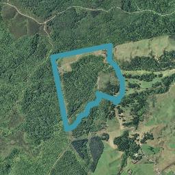880D Whakamarama Road, Whakamarama, Whakamārama