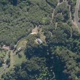 501A Paihia Road, Kawakawa, Kawakawa