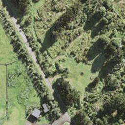 284 Bethells Road, Te Henga / Bethells Beach