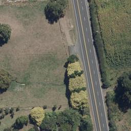 3006 Ohaupo Road, Glenview, Hamilton
