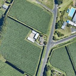 89 Plummers Point Road, Whakamarama, Tauranga