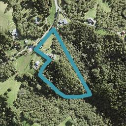 97 Thompson Road, Warkworth, Warkworth