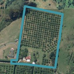 285E Wainui South Road, Whakamarama, Whakamārama