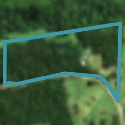 120 Forest Road, Okaihau, Okaihau