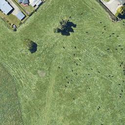 1 Towhai Crescent, Owhata, Rotorua