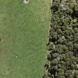 84 Te Aniwaniwa Terrace, Albany, Auckland
