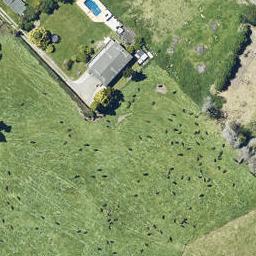 20 Towhai Crescent, Owhata, Rotorua