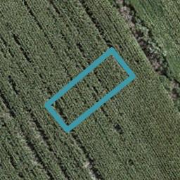 59 Mutetai Road, Clarks Beach, Clarks Beach