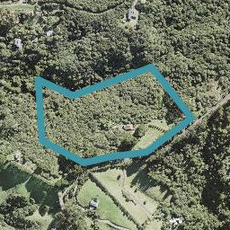 160 Lone Kauri Road, Karekare, Auckland