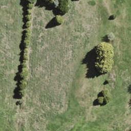 12 Grain Road, Ōpaheke, Papakura