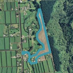 795B Pyes Pa Road, Pyes Pa, Tauranga