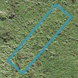 17 Roundel Crescent, Whenuapai, Auckland