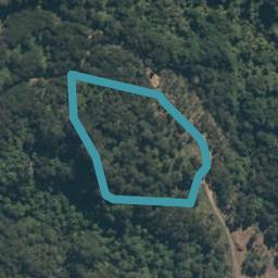 6/557 Maungakawa Road, Te Miro, Cambridge