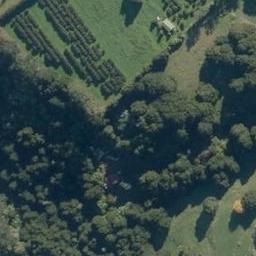 165 Apotu Road, Kauri, Kauri