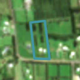 110 Ness Road, Waipapa, Waipapa