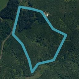 203 Orapiu Road, Waiheke Island