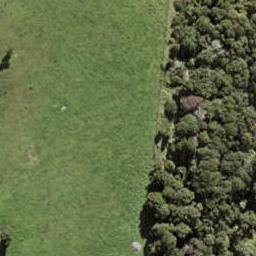 74 Te Aniwaniwa Terrace, Albany, Auckland