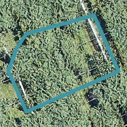 1 Te Rina Boulevard, OMOKOROA