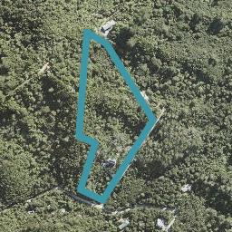 354 Wright Road, Albany
