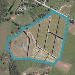 43 Anderson Road, Warkworth