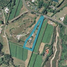 412B OLD HIGHWAY, Whakamarama, Western Bay Of Plenty