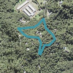 79 Opanuku Road, Henderson Valley, Auckland