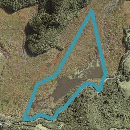 151 Bethells Road, Te Henga / Bethells Beach