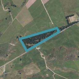 204 Oturei Sett Road, ARATAPU, DARGAVILLE