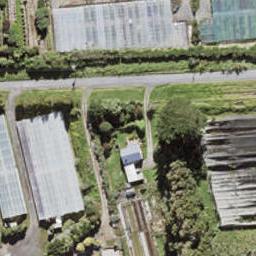 66 Trig Road, Whenuapai, Auckland