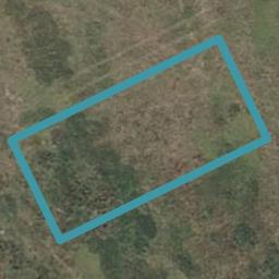 24 Halley Drive, Chartwell, Hamilton
