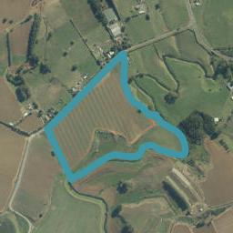 31 Friedlander Road, Tuakau, Tuakau