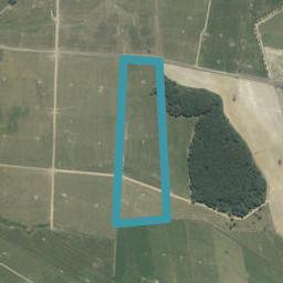 121 Morgan Road, Pokuru, Te Awamutu