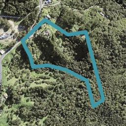 122 Foley Quarry Road, Albany