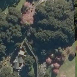 126D Apotu Road, Kauri, Kamo