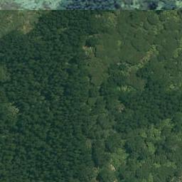 0 Rocky Cutting Road, Waitao, Tauranga