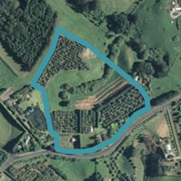 412 Wright Road, Aongatete, Katikati
