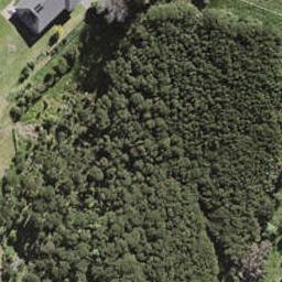 343 Gordons Road, Waiheke Island, Waiheke Island