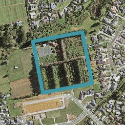115 Beatty Road, Pukekohe, Pukekohe