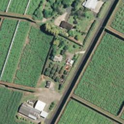 158 No 4 Road, Te Puke, Te Puke
