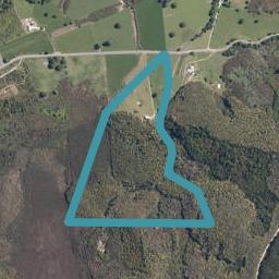 1560A Ngapipito Road, Moerewa, Moerewa