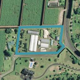 860 Pyes Pa Road, Pyes Pa, Tauranga