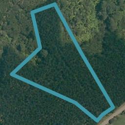260 Austin Road, Dairy Flat, Dairy Flat