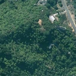 167C Sailors Grave Road, Pumpkin Hill, Whitianga